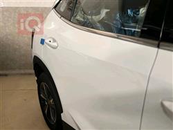 جيتور داشينج